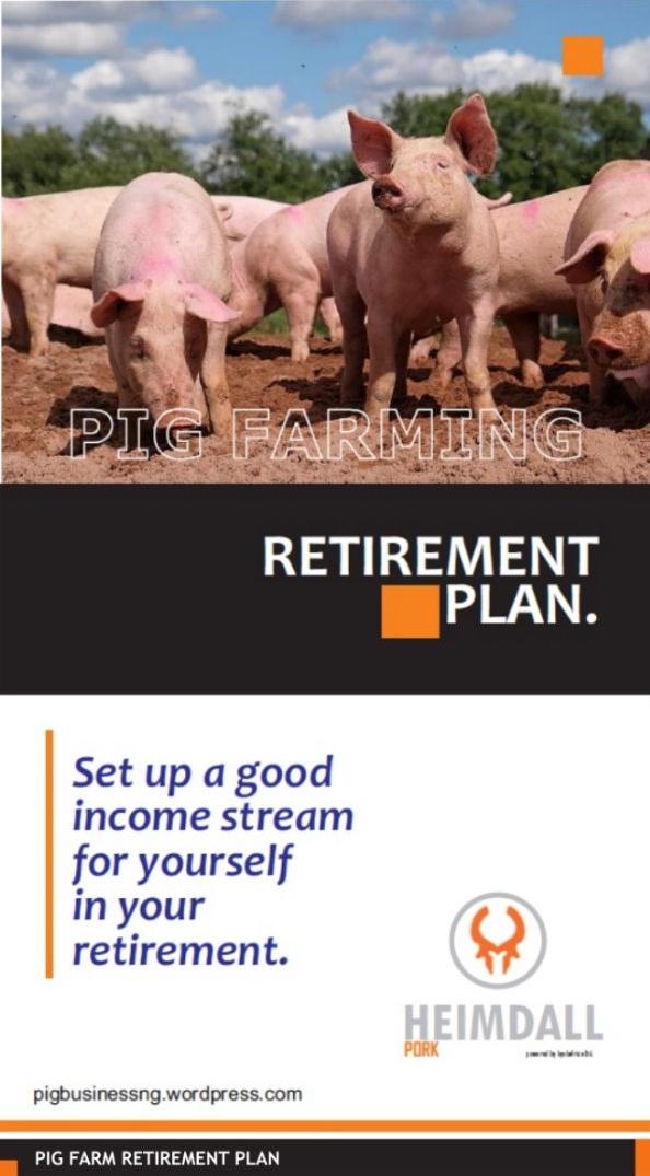 Retirement Plan